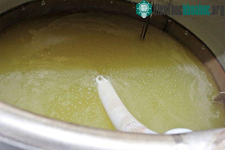 Một thùng chứa glucozơ đang lên men, một phần của quá trình biến cotton thành nhiên liệu.