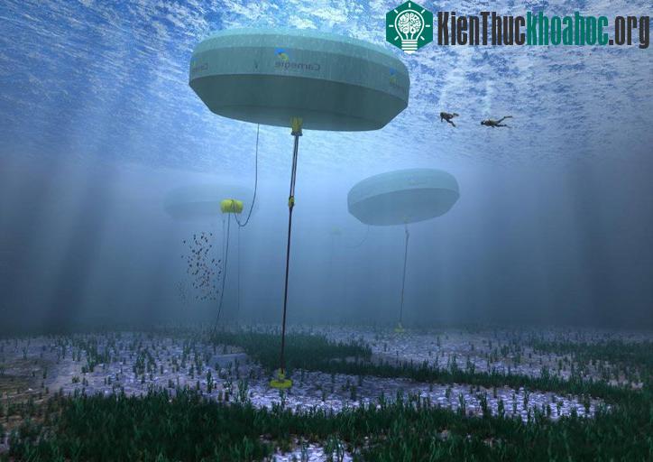 Năm 2015 đánh dấu sự hoàn thiện của dự án mạng năng lượng sóng đầu tiên trên thế giới do công ty Carnegie Wave Energy phụ trách ở ngoài khơi vùng biển Australia. Hệ thống năng lượng độc đáo này cho...
