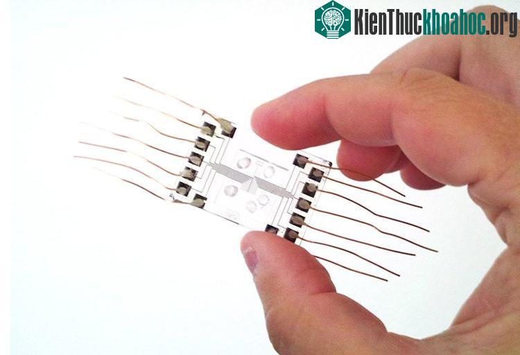 Con chip tách nước sạch từ nước mặn bằng cách sử dụng dòng điện.