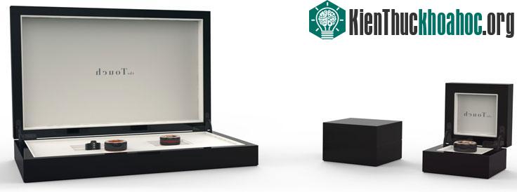 Giá một cặp nhẫn phiên bản thép không gỉ có giá là 600 đô la.