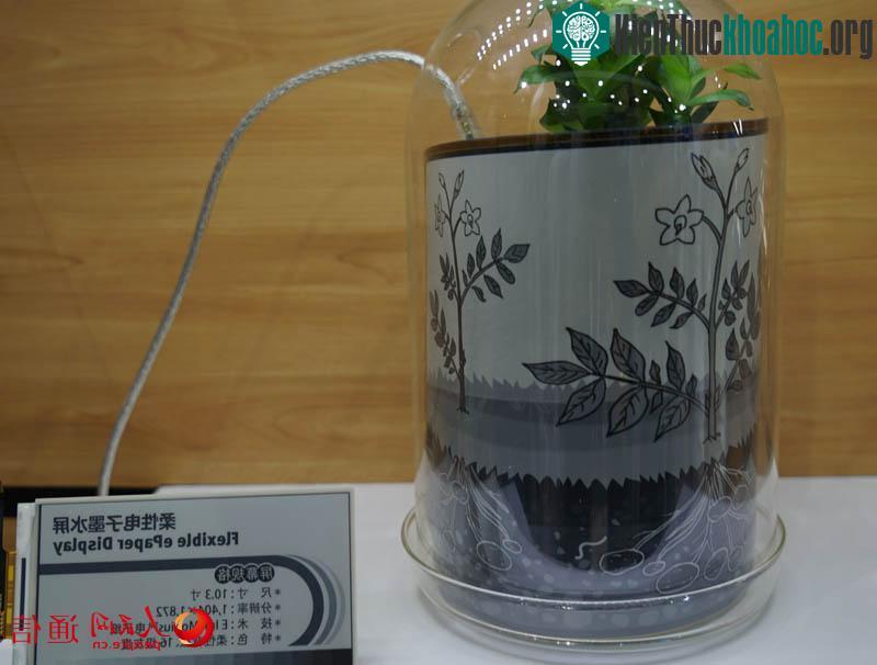 Sách điện tử dẻo có thể gấp lại và xếp gọn trong bình hoa.