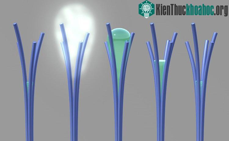 Thanh nano giàu carbon có thể "cứu" nhân loại khỏi tình trạng thiếu nước.