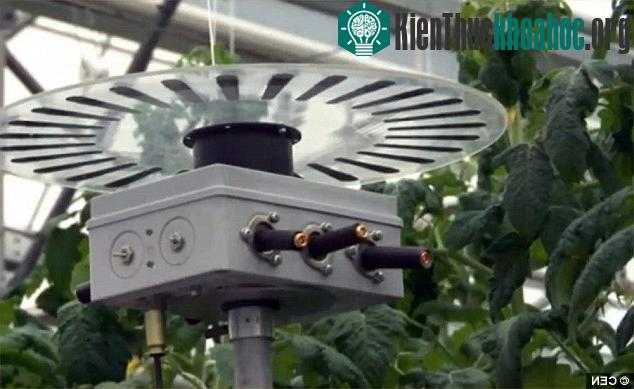Các nhà khoa học dự định sẽ sử dụng robot để làm việc thay cho con người.
