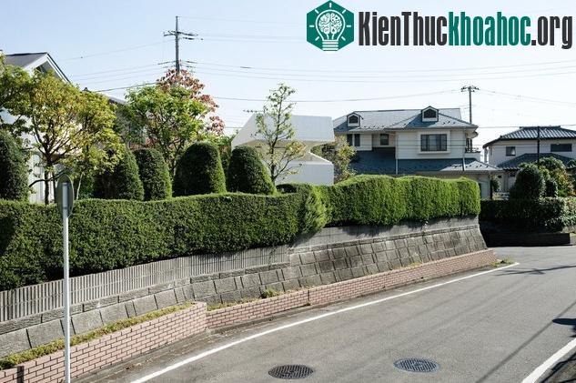 Công trình kiến trúc màu trắng nằm khuất phía sau bụi cây có kích thước quá khiêm tốn để có thể coi là một ngôi nhà nhưng lại quá lớn để coi là một món đồ nội thất. Những công trình kiến trúc như t...