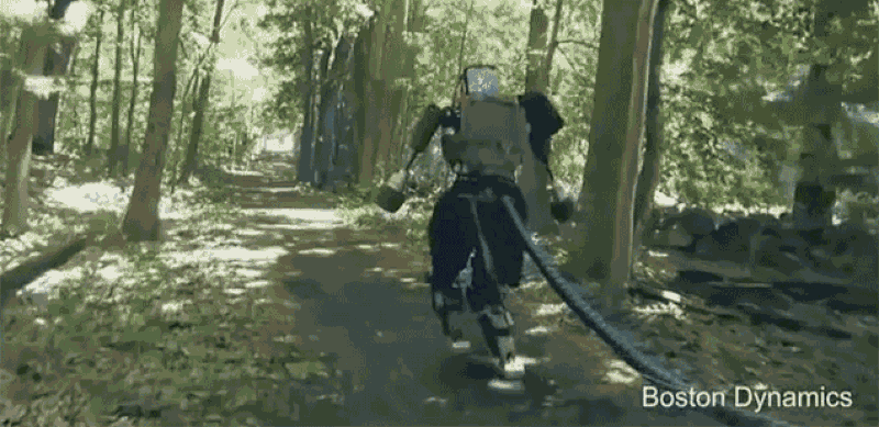 Đây là mẫu robot có thể vượt qua mọi địa hình.