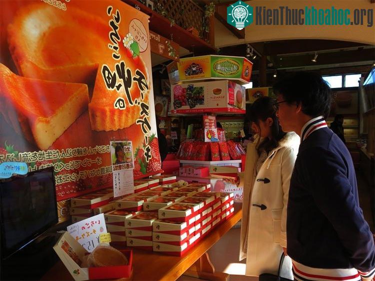 Ngoài ra, nông trang Itigo no Sato còn có hệ thống nhà hàng, quà lưu niệm, quán cafe.