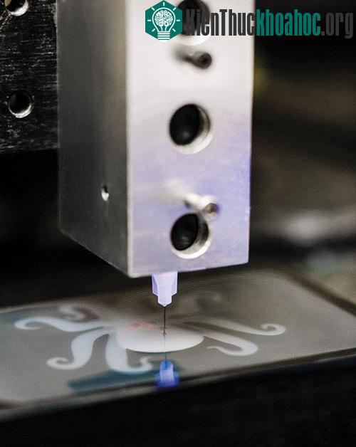 Octobot đơn giản là một thiết bị gồm các đường dẫn thủy lực được thiết kế dễ thương.