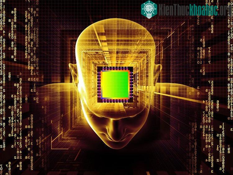 Tới năm 2030, robot siêu vi sẽ đem lại những trải nghiệm thực tế ảo từ trong chính hệ thống thần kinh.