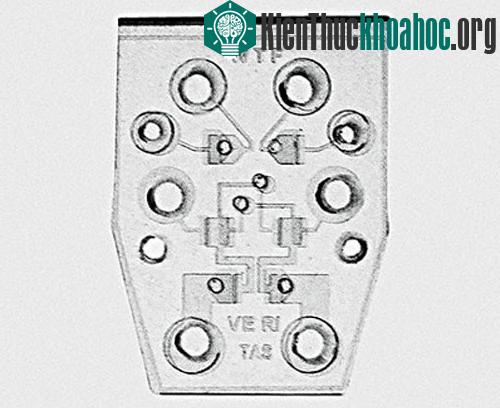 Cận cảnh chip microfluidic.