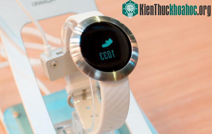 Về tính năng phần mềm, Band Z1 chứa các cảm biến để theo dõi việc tập luyện của bạn, ví dụ như đếm bước chân chẳng hạn.
