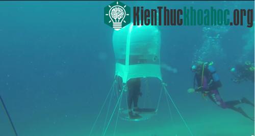 Một nhà kính dưới đáy biển trong dự án Vườn Nemo. (Ảnh: Ocean Reef Group)