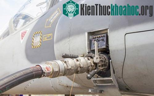 Sản xuất nhiên liệu từ nấm có thể mở đường cho ngành sản xuất nhiên liệu hàng không giá rẻ. (Ảnh minh họa: Shutterstock)