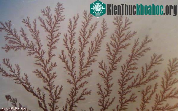 Chất điện phân mới giúp loại bỏ hiện tượng đoản mạch pin Li-ion
