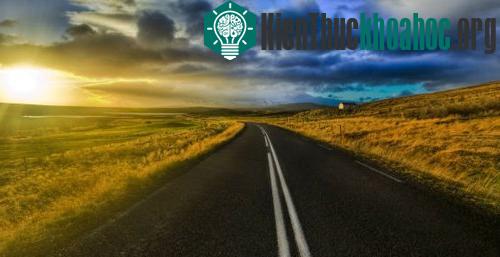 Những con đường trong tương lai có thể được trải nhựa đường có thành phần từ cây xanh. (Ảnh minh họa: Gizmodo)
