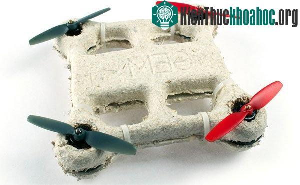 Bản mẫu của chiếc máy bay do thám mini chế tạo từ vật liệu sinh học có khả năng tự hủy.