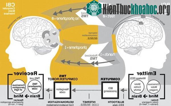 Giờ đây, công nghệ đã tiến xa hơn một bước với việc cho phép một người nào đó ở Ấn Độ gửi thư điện tử cho đồng nghiệp của mình ở Pháp chỉ bằng sức mạnh của não bộ.