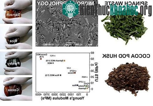 Công thức để chế tạo loại nhựa phân hủy sinh học mới. (Ảnh: Dailynewsen)