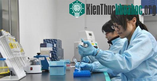 Ảnh minh họa một phòng thí nghiệm ở Trung Quốc - (Ảnh:&nbsp;wuxiapptec.com)