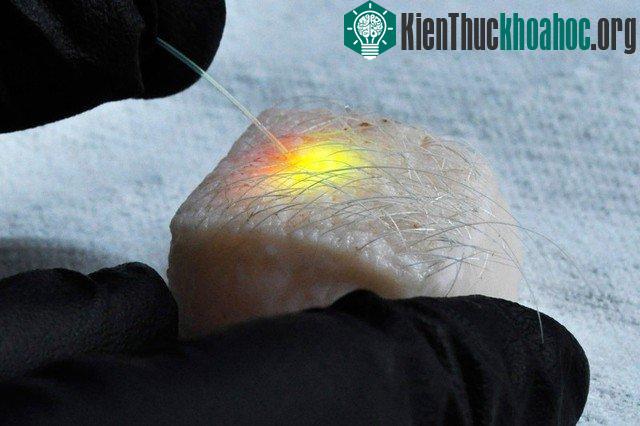 Tìm thấy 3 cách biến tế bào con người thành tia laser