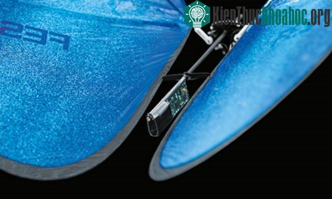 Công ty Festo đã sản xuất ra loại Robot bướm này