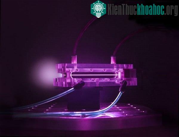 Máy gia tốc hạt để bàn của Berkeley Lab lập kỷ lục mới
