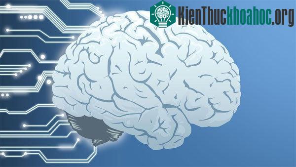 Trí tuệ nhân tạo sẽ được lập trình lên các thiết bị máy tính