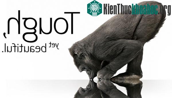 Những công dụng không ngờ tới của Gorilla Glass