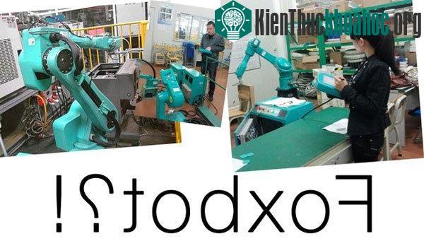 Thế giới sẽ ra sao khi robot thay thế con người?