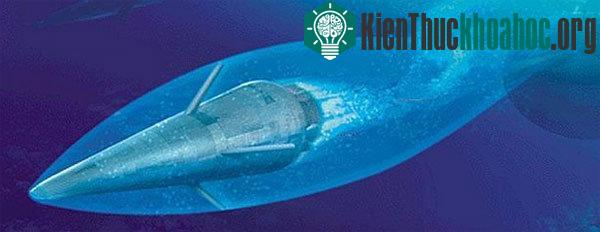 Mô hình tàu ngầm mới được cho là của Trung Quốc