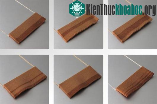 Những bộ trang sức bằng gỗ được tạo ra bằng công nghệ in 3D