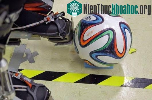 Đây sẽ là lần đầu tiên thực hiện ý tưởng dùng robot sút quả bóng khai mạc World Cup.
