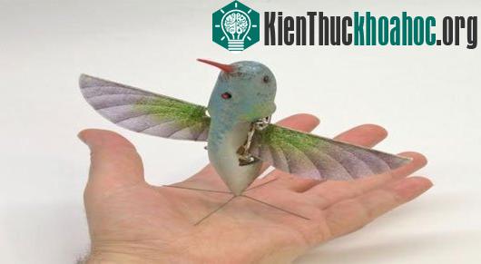 Một loại máy bay không người lái mini kiểu côn trùng