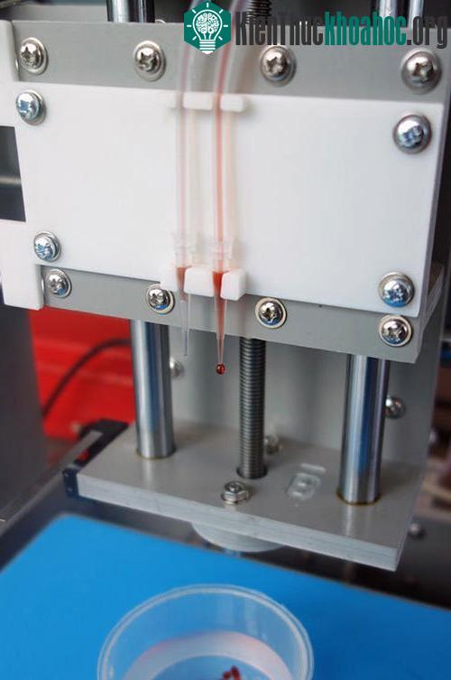 Hãng Dovetailed giới thiệu "máy in trái cây 3D"