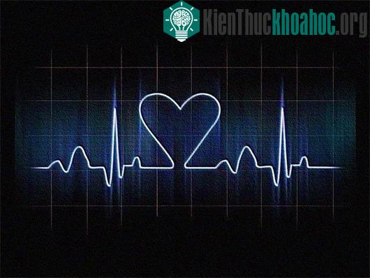 5 công cụ sinh trắc học thay thế mật khẩu trong tương lai