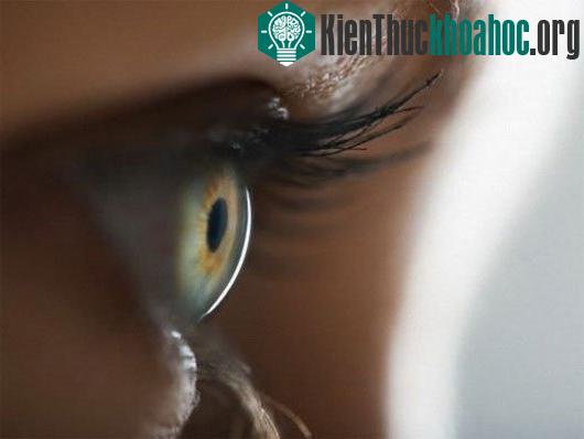 Chụp ảnh võng mạc mắt bằng điện thoại thông minh