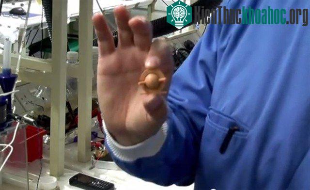 Cận cảnh pin vi trùng