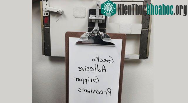 Nguyên mẫu vật liệu bám dính trong một thử nghiệm​