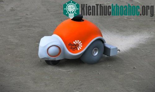 10 robot có hình dáng giống động vật