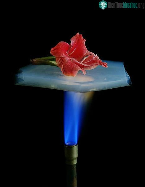 Các tạp chí tin khoa học nước ngoài luôn đề cao tiềm năng ứng dụng của Aerogel