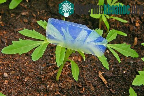 Ứng dụng của Aerogel có thể đến từ mọi lĩnh vực cuộc sống, đặc biệt với công nghệ vũ trụ