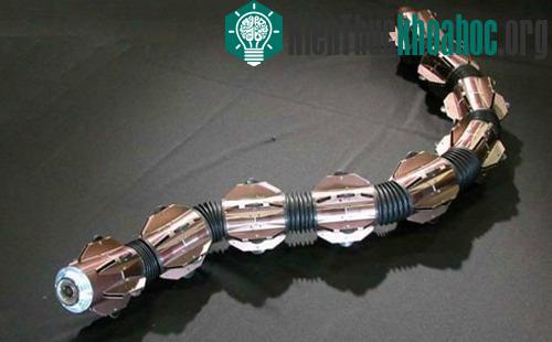10 robot có hình dáng giống động vật
