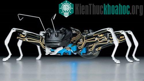 10 robot có hình dáng giống động vật