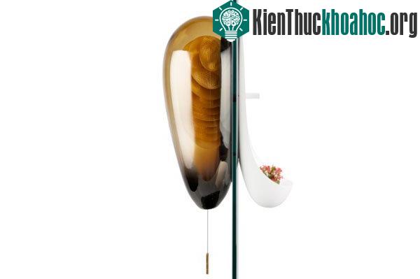 Thiết bị kì lạ này chính là một tổ ong nhân tạo làm từ nhựa.&nbsp;