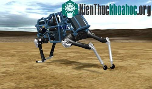 10 robot có hình dáng giống động vật