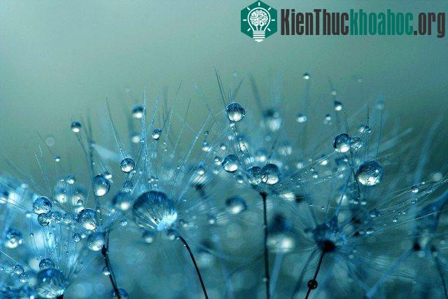 20 phát minh mới nhất về pin làm thay đổi công nghệ trong tương lai