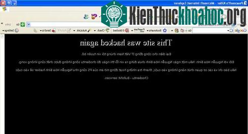 Nhức nhối an ninh mạng tại Việt Nam ảnh 1