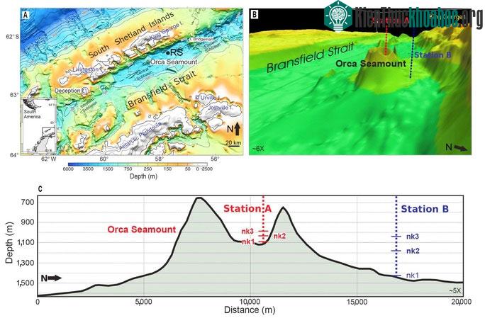 "Quái vật lửa" Orca Seamount