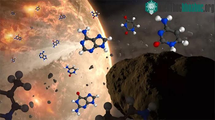 &nbsp;Những nucleobase này được tìm thấy ở DNA và RNA trong các thiên thạch từng đến với Trái đất