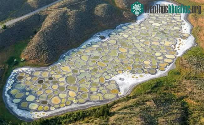 Hình ảnh Spotted Lake nhìn từ trên cao.