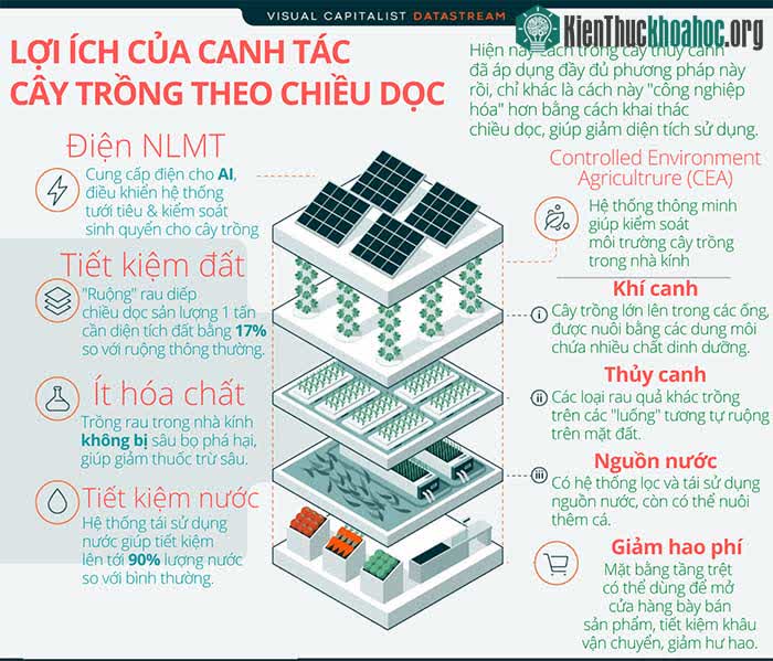 Canh tác cây trồng theo chiều dọc